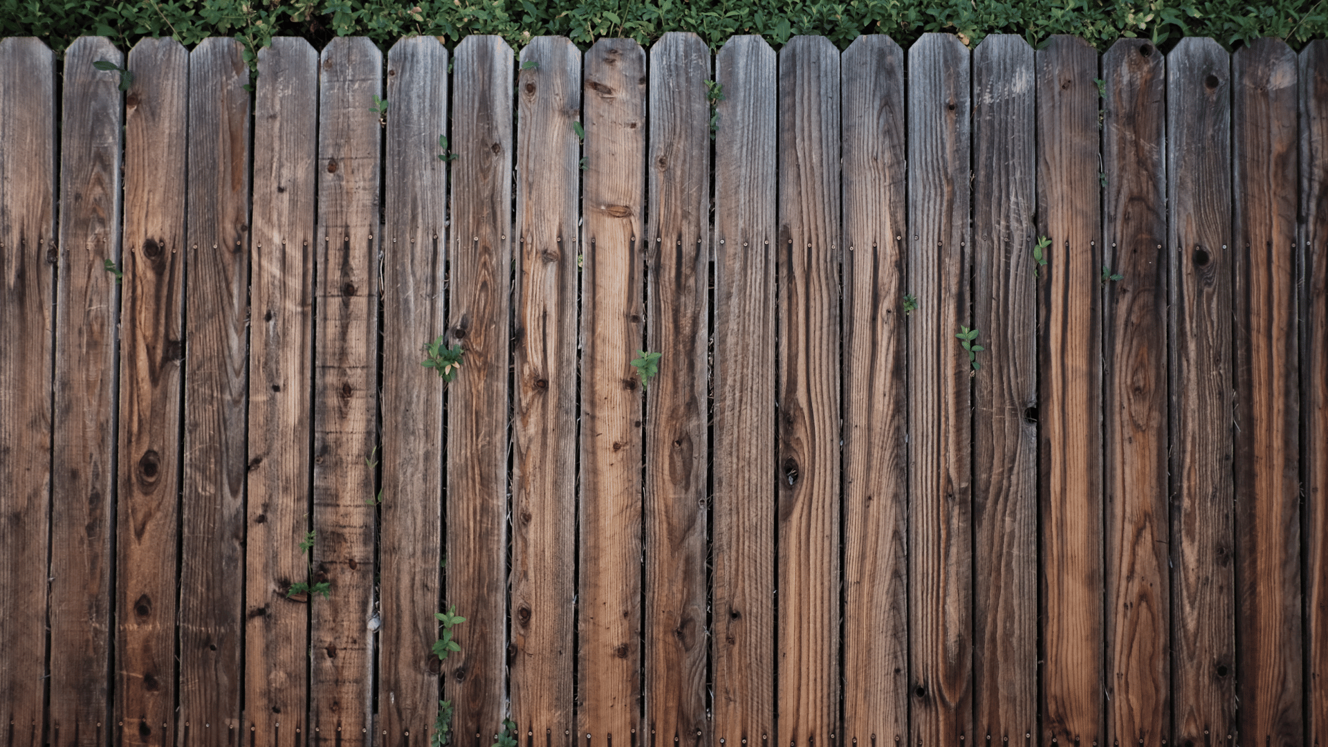 stained fence